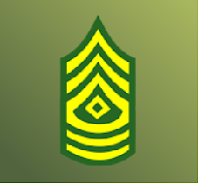 mini militia list of ranks